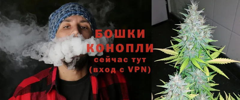 цена наркотик  Северская  Конопля OG Kush 